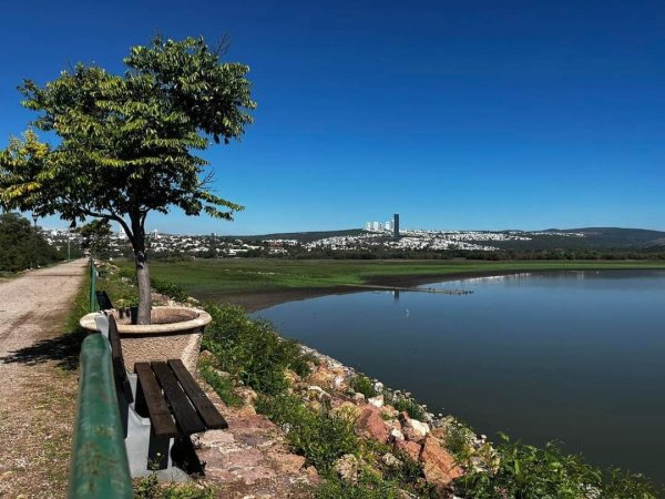 ¿Cuánto necesita el Parque Metropolitano de León para modernizar sus cámaras? Esto pide 