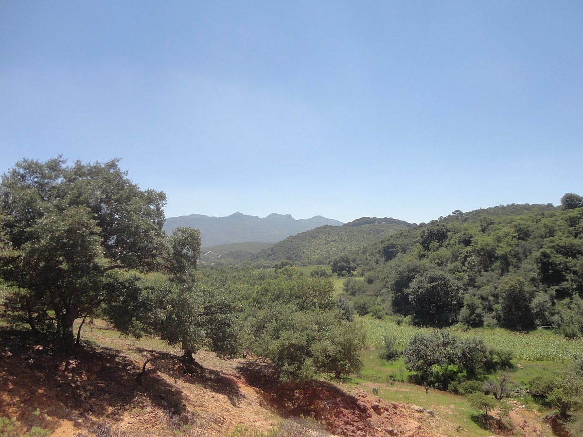 ¿Te gustaría que la Sierra de Dolores fuera declarada como una ANP? Así puedes participar