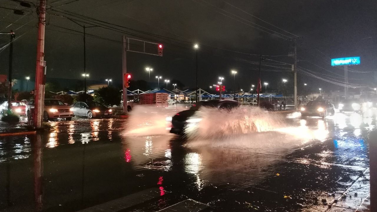 Intensa lluvia en León derriba árboles, postes y causa cortes de electricidad 