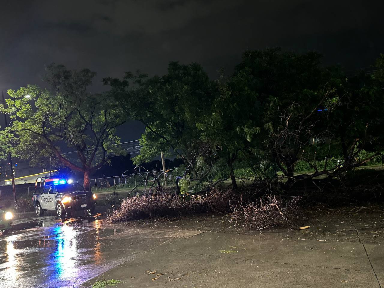 Apagones, árboles caídos y mucha agua: así el saldo de la lluvia en León 