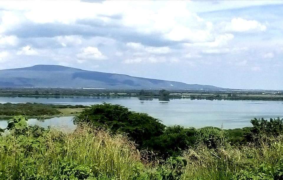 Niegan que tenería de León esté contaminando el río Turbio, ¿qué dijo SAPAL? 