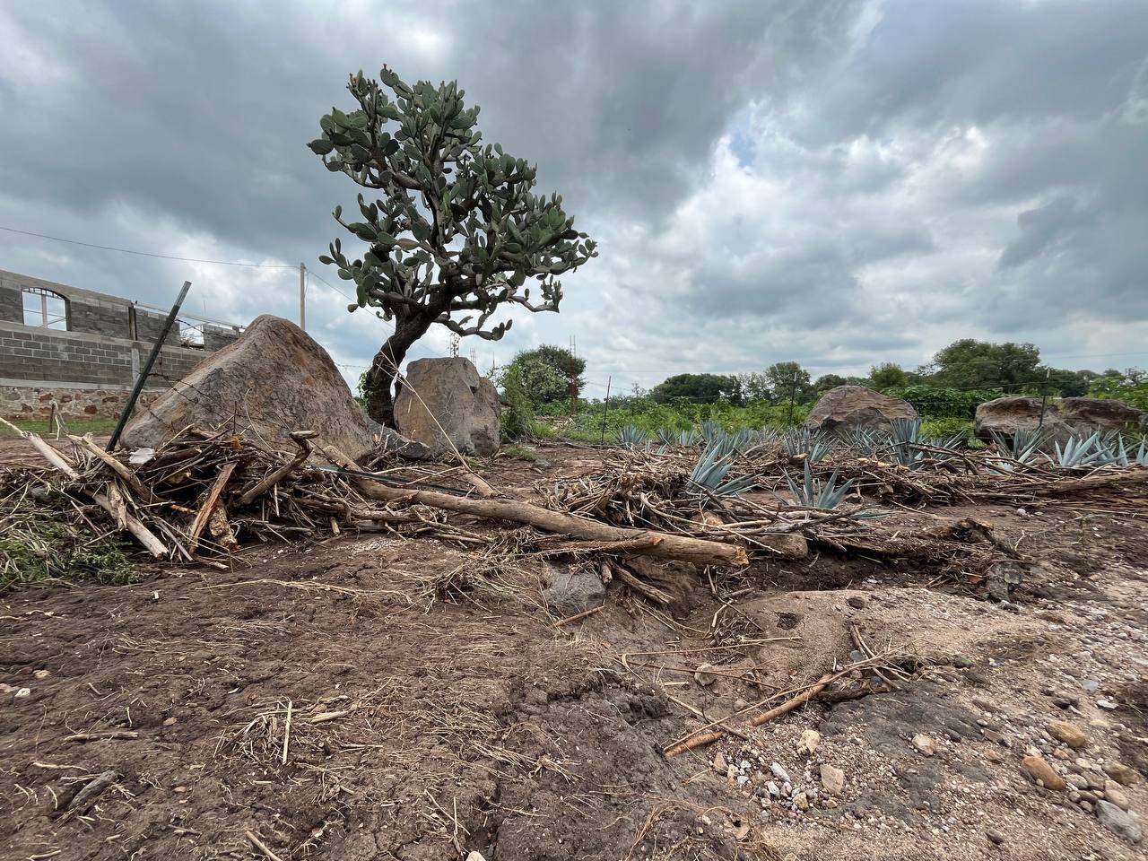 Campos inundados y caminos intransitables: así el saldo por las inundaciones en Manuel Doblado 