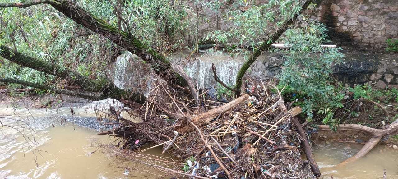 Tras lluvias, vecinos del Camino Antiguo a Marfil en Guanajuato se inundan de basura 