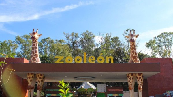 Parque Zoológico de León gana como mejor actividad de encuentro con la Naturaleza