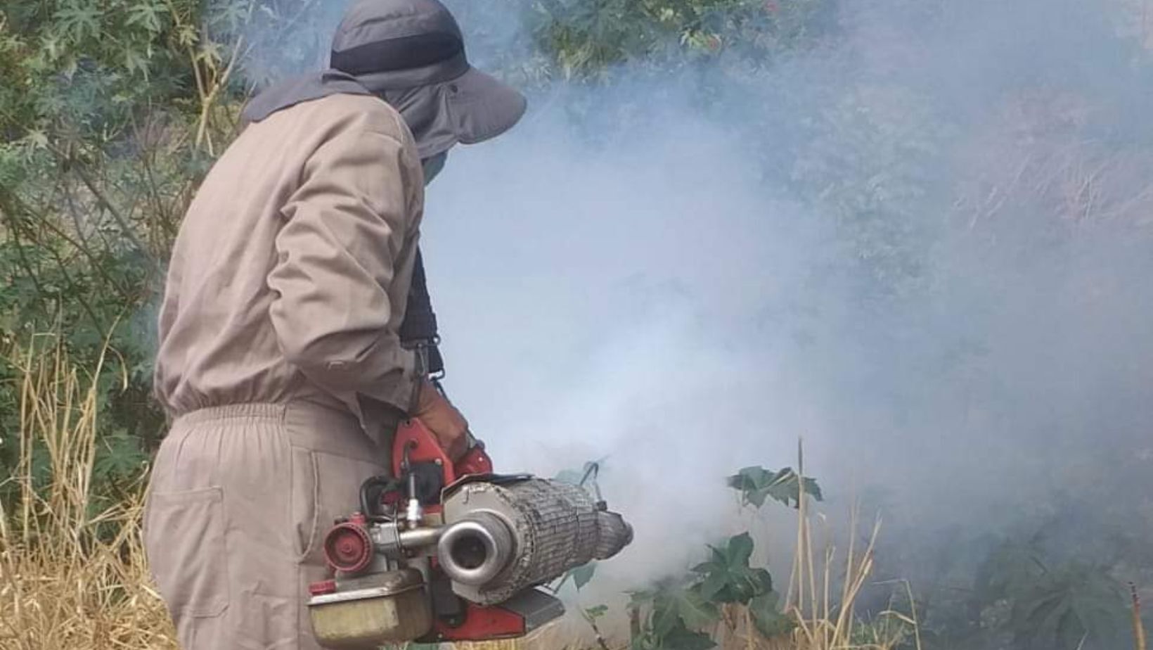 Inicia jornada contra el dengue en Guanajuato para prevenir brotes