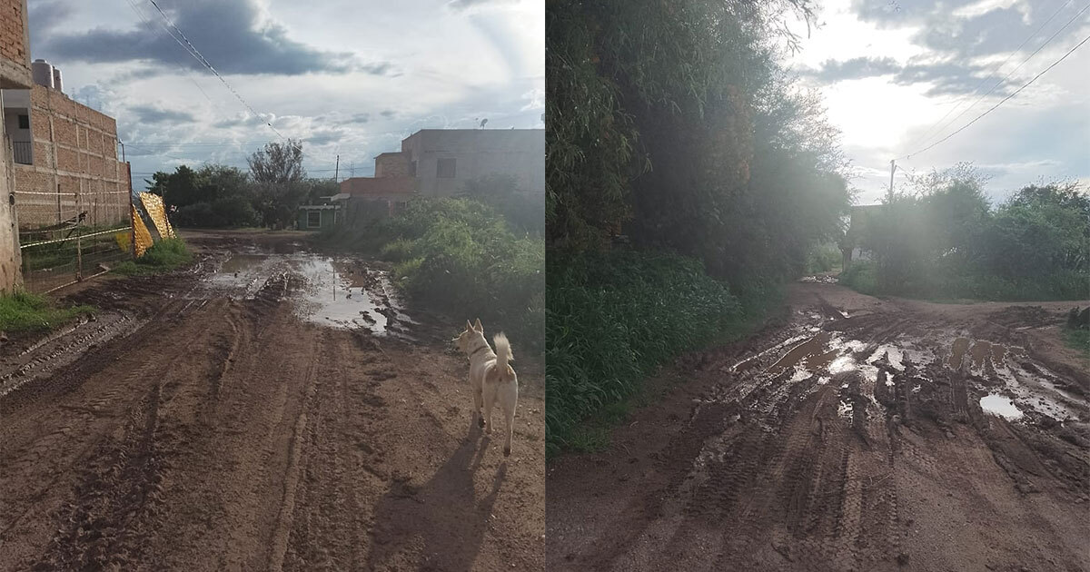 Vecinos de Cervera en Guanajuato exigen pavimentación y drenaje tras 20 años de espera