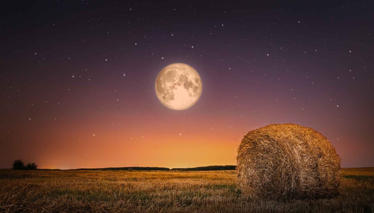 ¿Cuándo y cómo ver la 'superluna de la cosecha' en Guanajuato? 