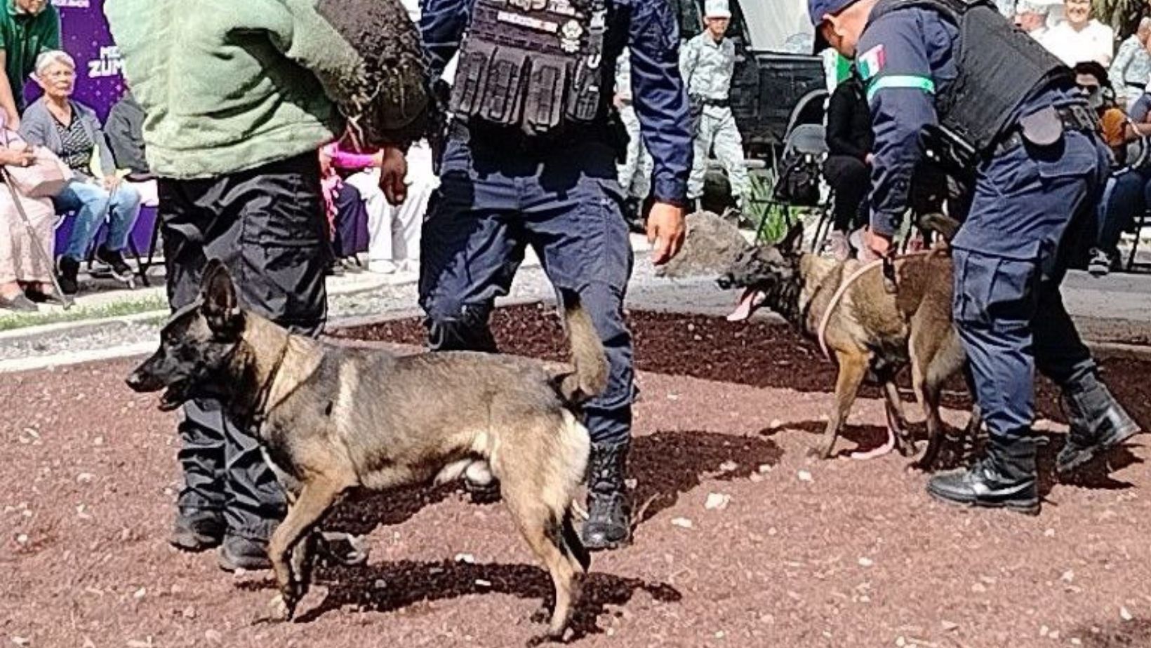 Policía canina de Salamanca refuerza operativos con nuevos integrantes 