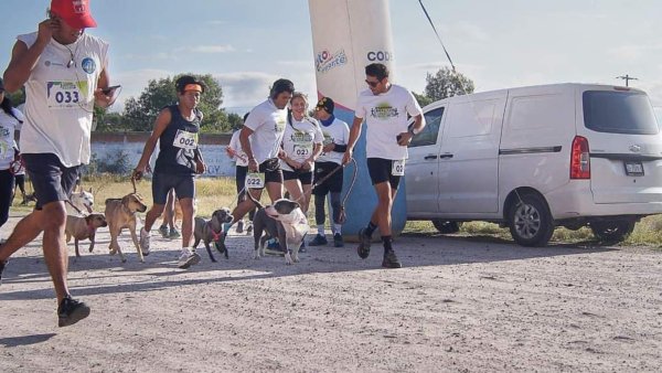 ¿Cómo Participar en la Canrrera y Canvivencia “Corre con Ellos” en Acámbaro?