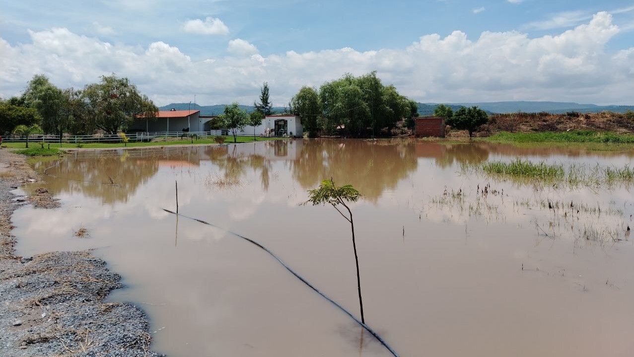 Lluvias 'inundan' a Guanajuato: estos municipios sufren por desbordes y encharcamientos 