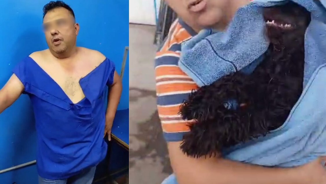 Veterinario de Irapuato mata a perrito “por error“; solo lo llevaron por un corte de pelo