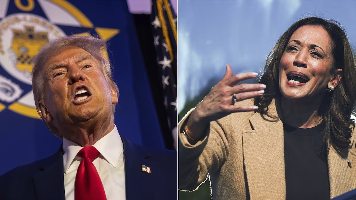 Donald Trump vs. Kamala Harris ¿qué dicen las encuestas? 