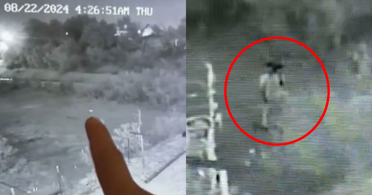 Video| ¡De terror! Orbe de luz se transforma en dos niños fantasma en zona boscosa de México