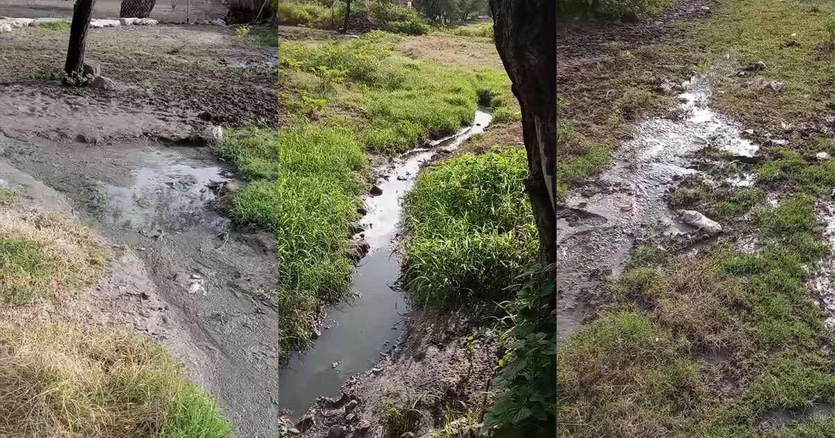 Desde hace 4 años, aguas negras y malos olores afectan comunidad en Irapuato; ‘estamos preocupados’