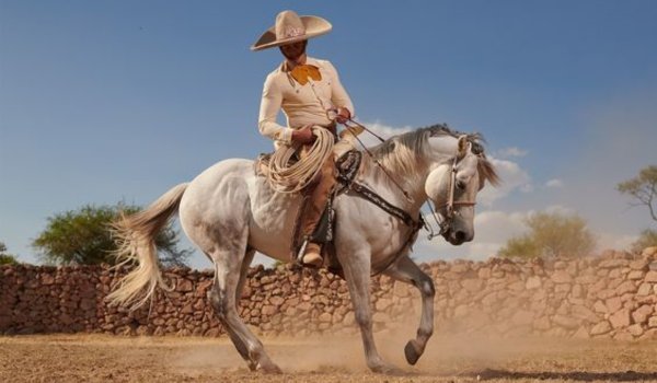 ¿Qué se celebra hoy 14 de septiembre 2024 en México? Día Nacional del Charro 