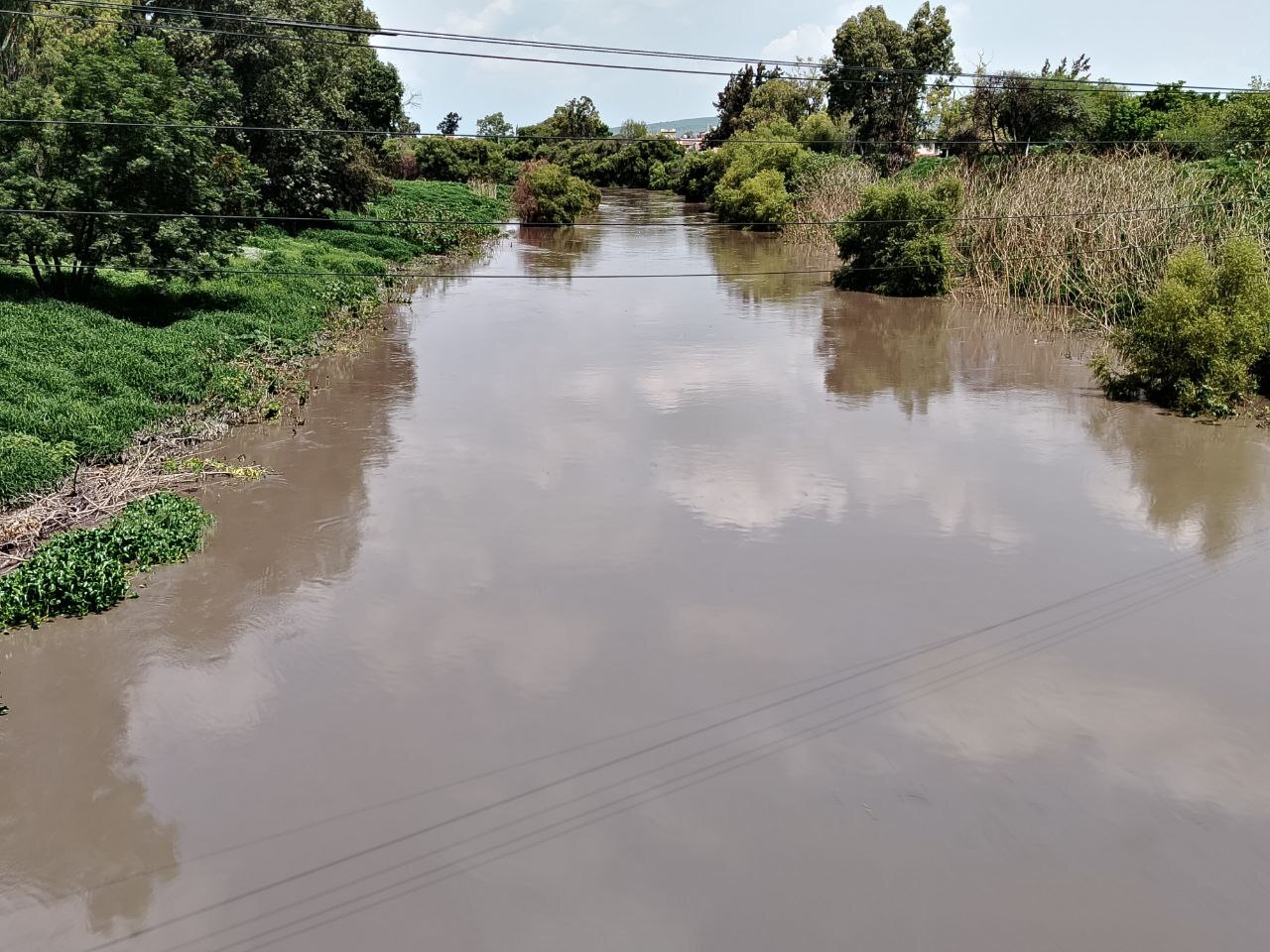 Advierten a agricultores proteger desagües ante aumento del nivel del río Lerma en Guanajuato 