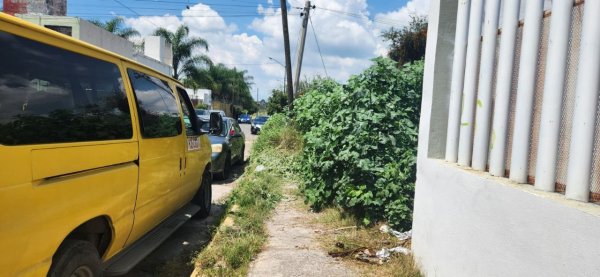 Piden limpiar hierba alrededor de dos escuelas en Celaya, falta de visibilidad es un riesgo