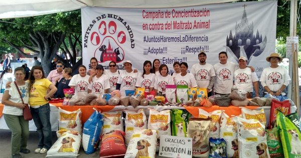 San Miguel y Dolores Hidalgo se unen al Croquetón para apoyar a perritos y gatos, ¿cómo ayudar? 