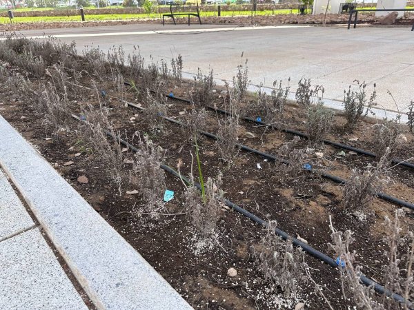 ¡No duró nada! Glorieta Santa Fe en Guanajuato ya tiene daños a 1 día de inaugurada