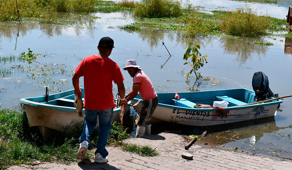 Regreso de peces a la Laguna de Yuriria trae esperanza a pescadores