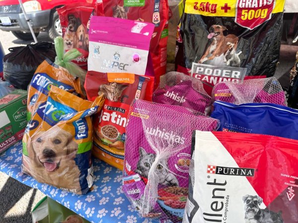 Así fue el Segundo Croquetón Guanajuato; juntan más de 200 kilogramos de alimentos 