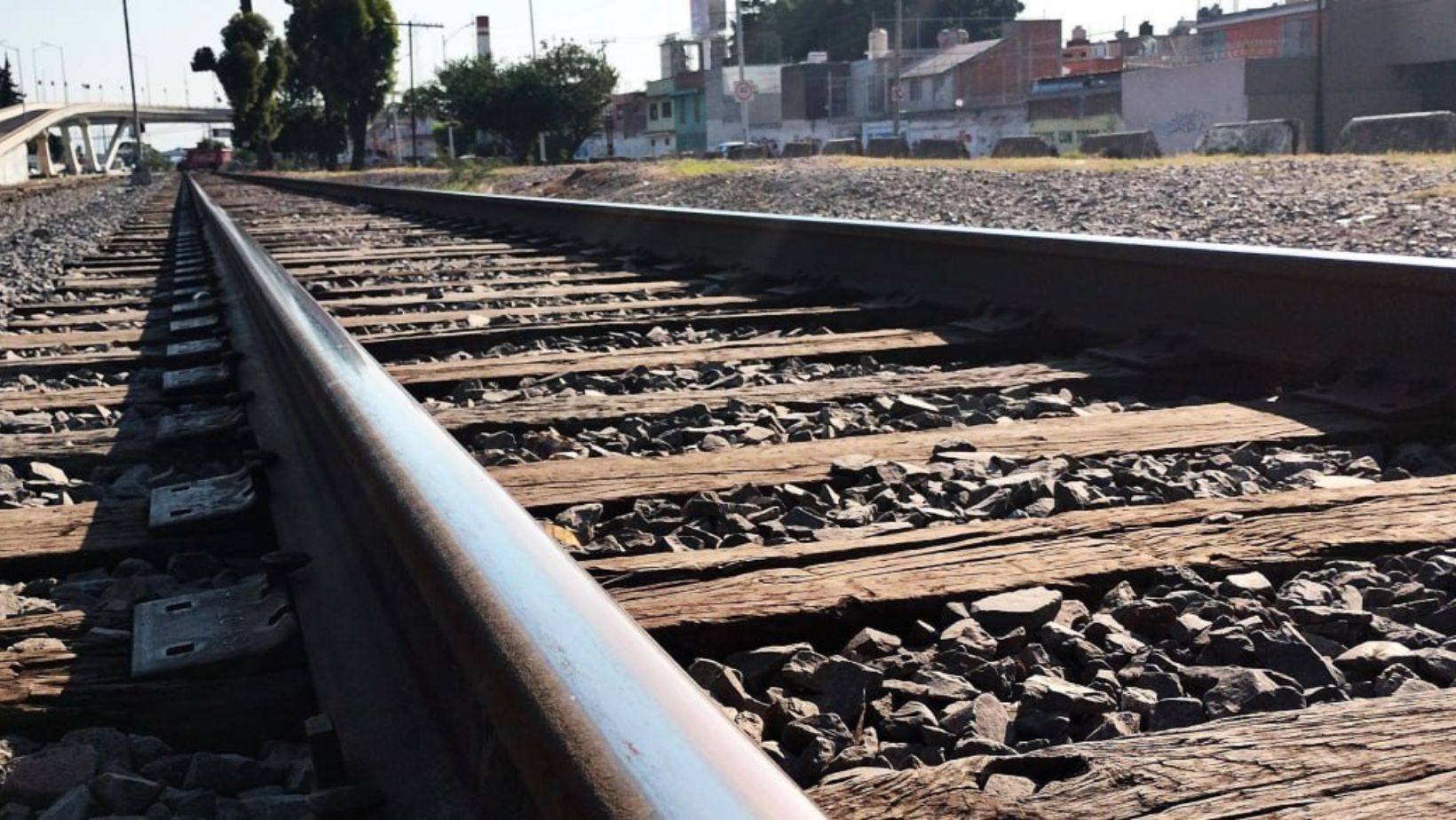 ¿Será viable un tren urbano en Celaya según los primeros estudios? Esto se sabe