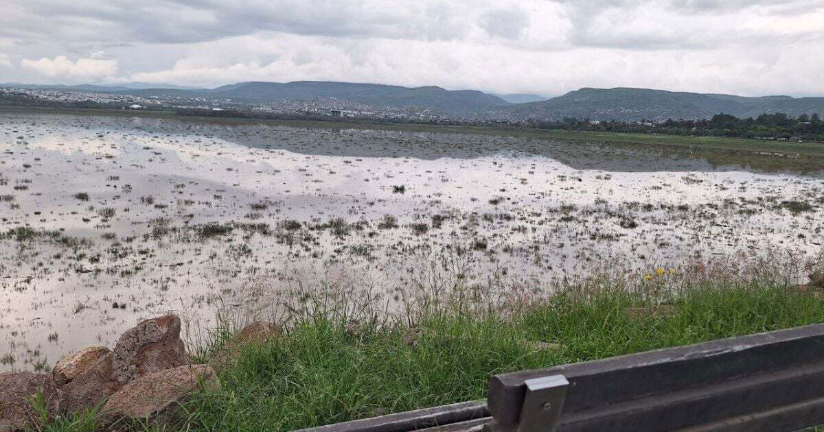 Descartan que desvío del agua afecte la captación en la presa del Palote en León 	