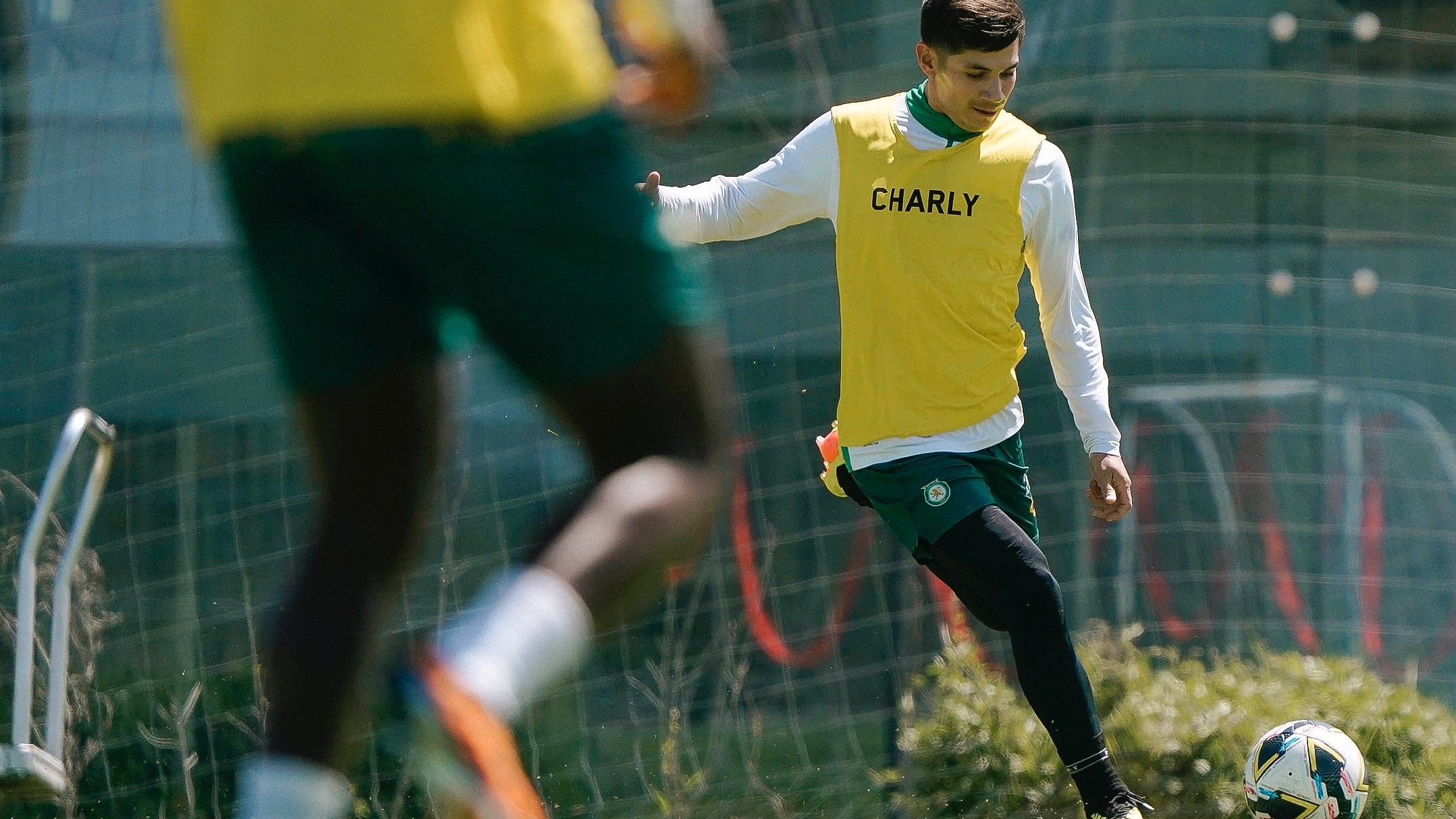 Liga MX: ¿Dónde ver el partido Tigres vs León y a qué hora?