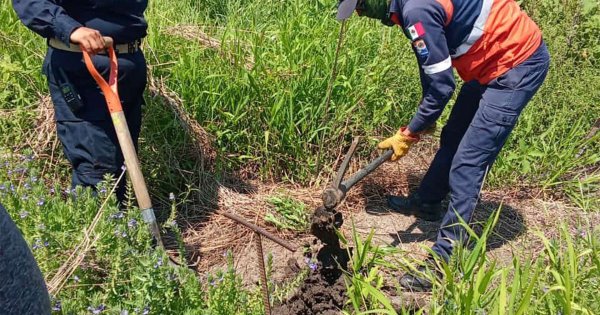 ¿Qué pedirán los colectivos de búsqueda de Salamanca a Libia García? Esto le propondrán