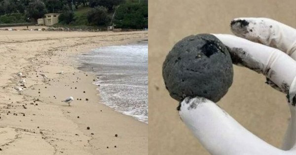 ¿Bolas negras en playas de Australia podrían llegar a México? Este es su origen