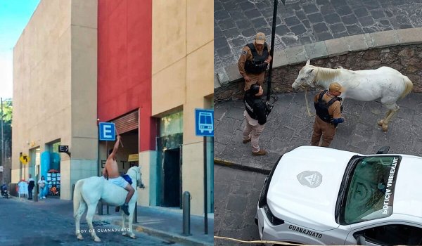 ¿Estacionó mal su caballo? Multan a jinete en Guanajuato capital que fue al cajero en ropa interior