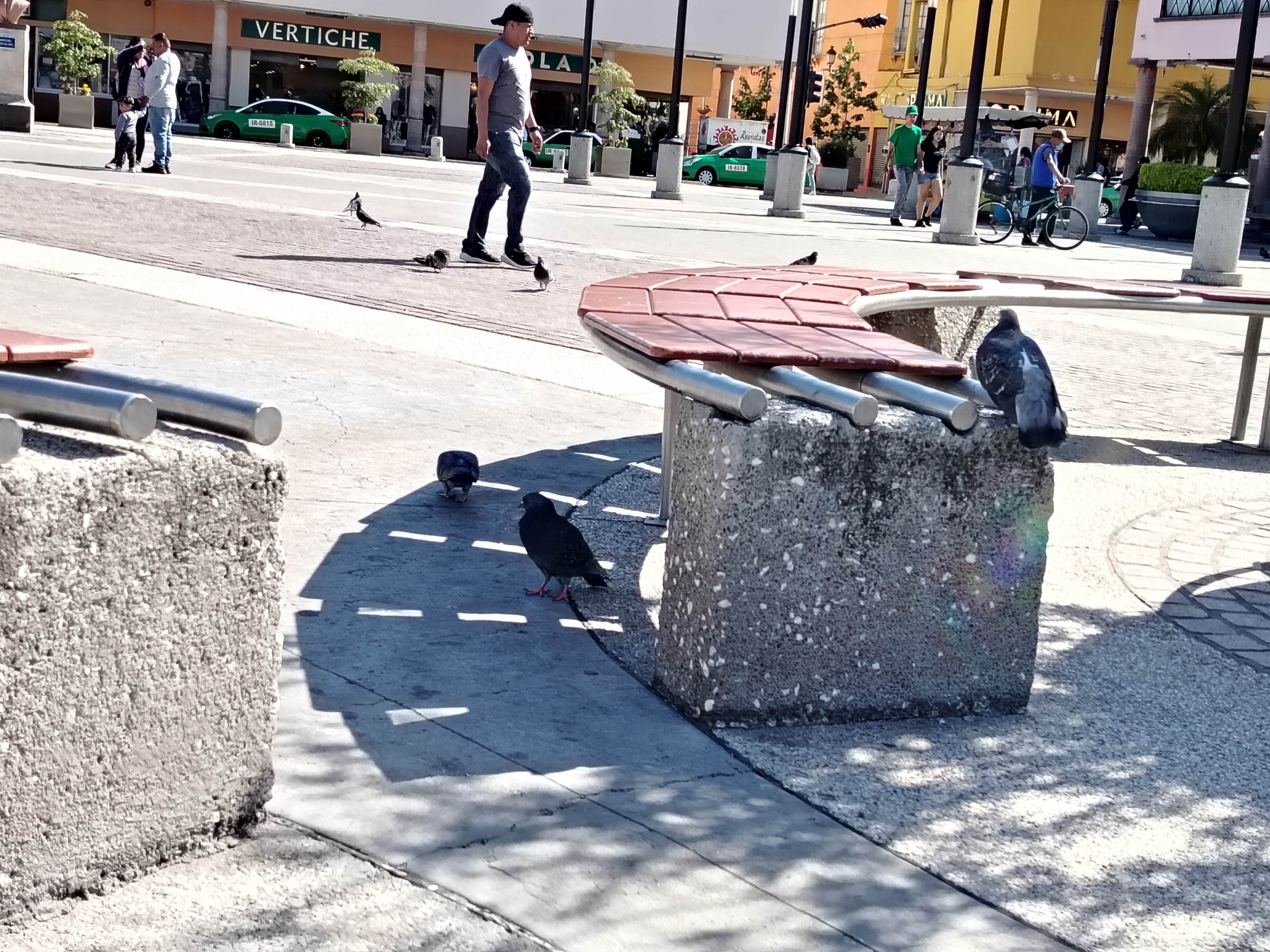 Habitantes evitan la Plaza Miguel Hidalgo de Irapuato por falta de sombra; ni las palomas se quedan 