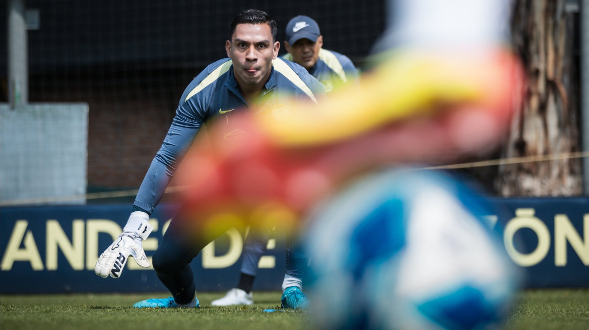 ¿América vs Pachuca va por TV abierta? Dónde ver en vivo el partido de la Jornada 16 del Apertura 2024