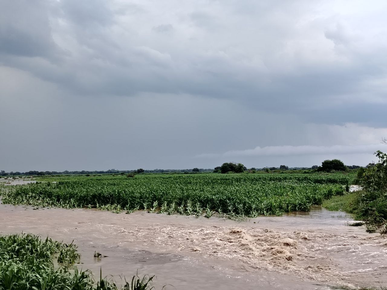 Prevén pérdidas millonarias por desbordamiento de presa en Manuel Doblado 