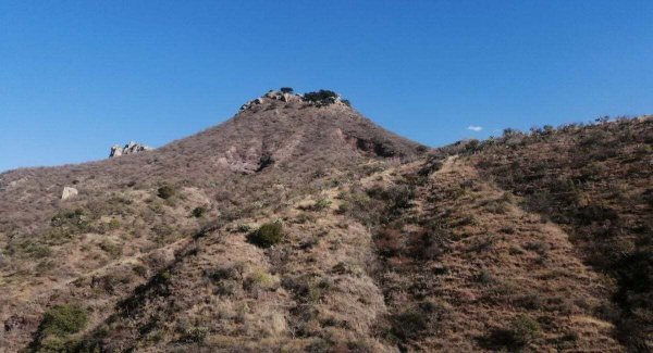 Programa Municipal de Ordenamiento Territorial en Guanajuato enfrenta baja participación, ¿qué esta pasando? 