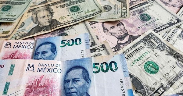 Precio del dólar hoy 3 de diciembre de 2024: cuánto vale en ventanillas bancarias