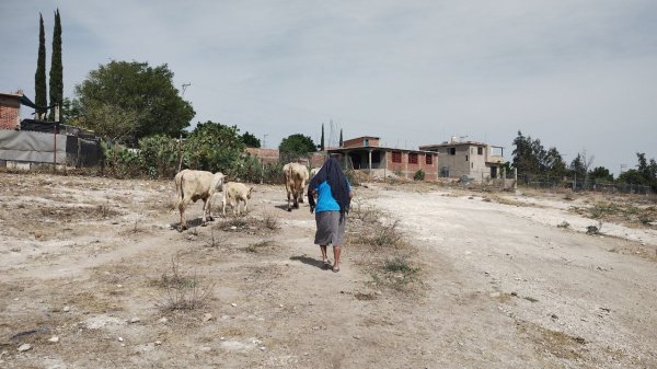 Comunidades de Irapuato realizarán asambleas para elección de delegados; Lorena Alfaro promete transparencia