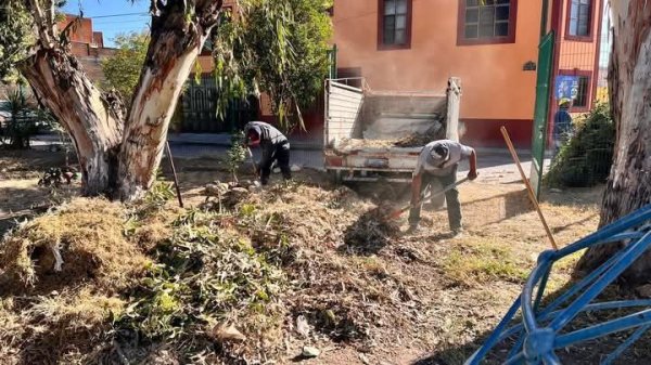 ¿Cambiarán los horarios de recolección de basura en San Felipe? 