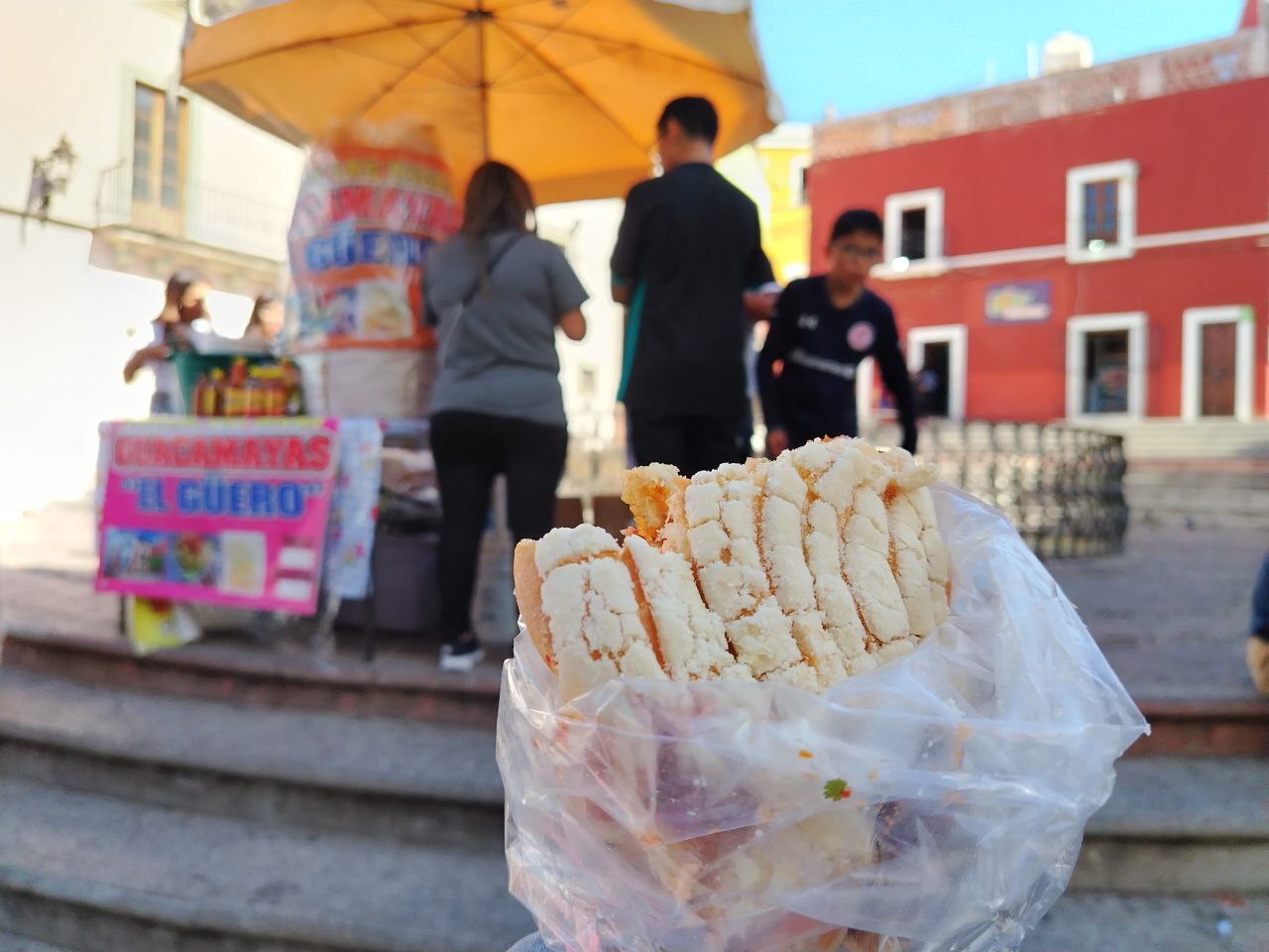 Las Guaca-Conchas: Una fusión de sabores en Guanajuato