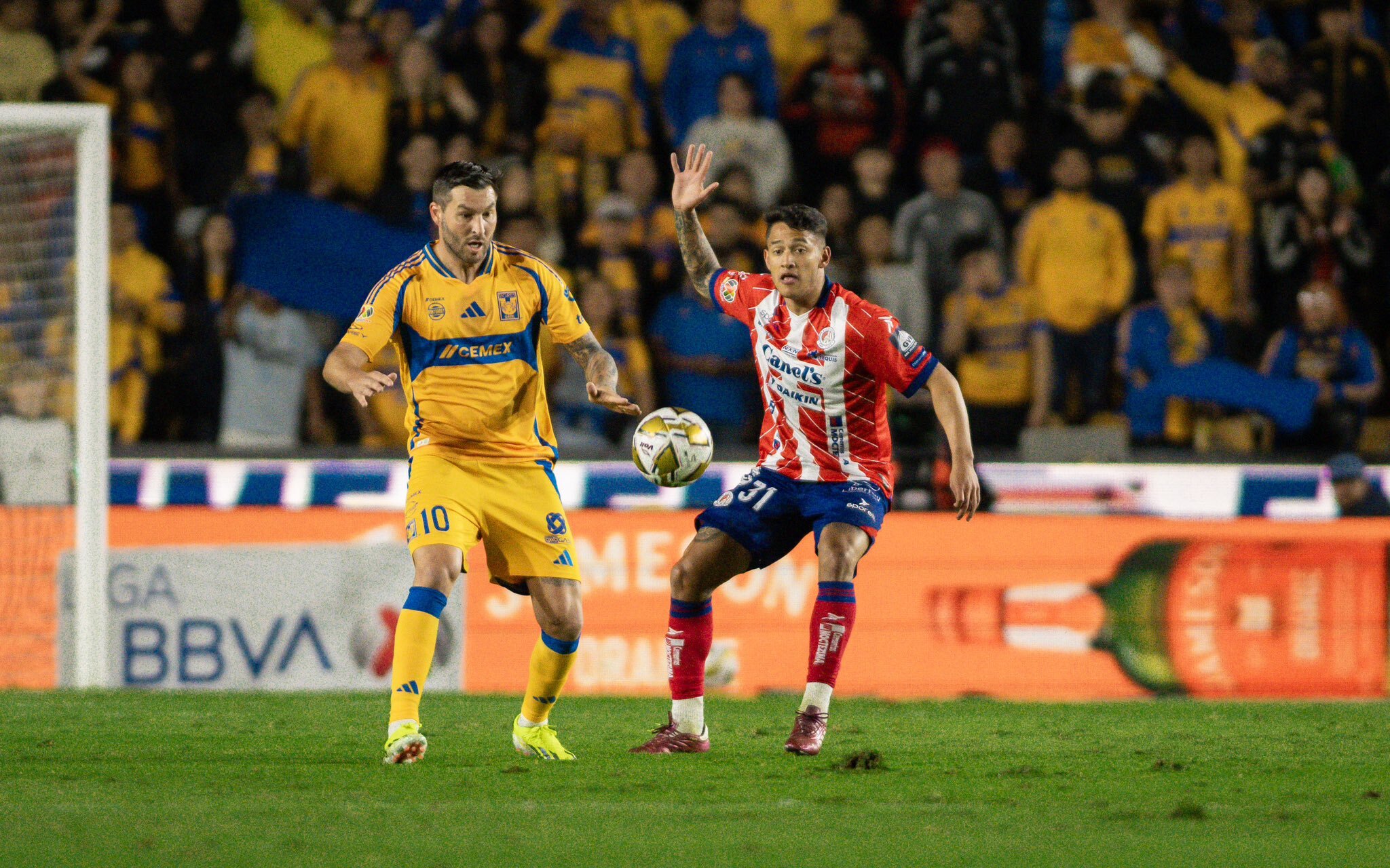 Atlético de San Luis es el caballero negro que eliminó a Tigres y avanza a semifinales del Apertura 2024