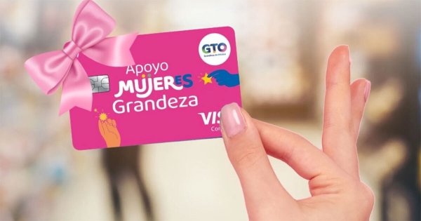 ¿Cuándo responderán mi solicitud los de la Tarjeta Rosa en Guanajuato?