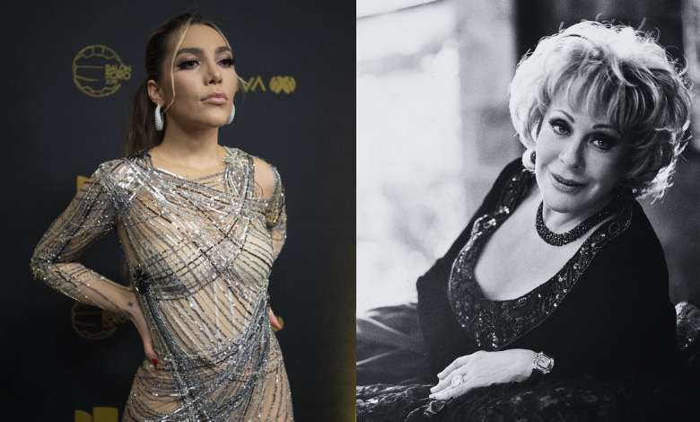 Frida Sofía habló con Silvia Pinal antes de su muerte ¿qué le dijo?