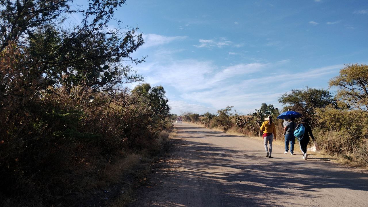 Habitantes de El Garbanzo recorren 7 kilómetros a pie por falta de transporte público en Irapuato