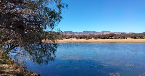 Ocampo retrasa construcción de bordos hasta el 2025 por las lluvias