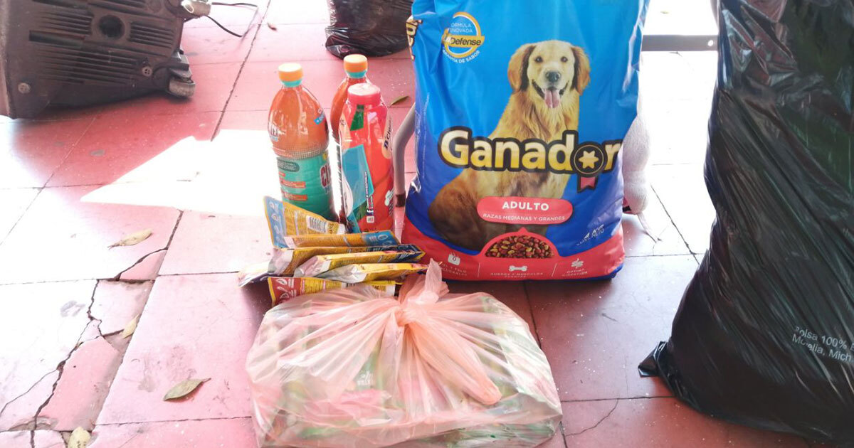 Asociación Amor Animal en Acámbaro organiza colecta para ayudar a perritos resguardados