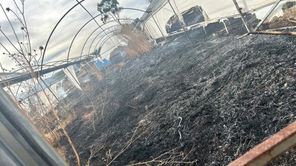 Incendios en San Miguel de Allende causan daños en plantel educativo y destruyen vehículos 