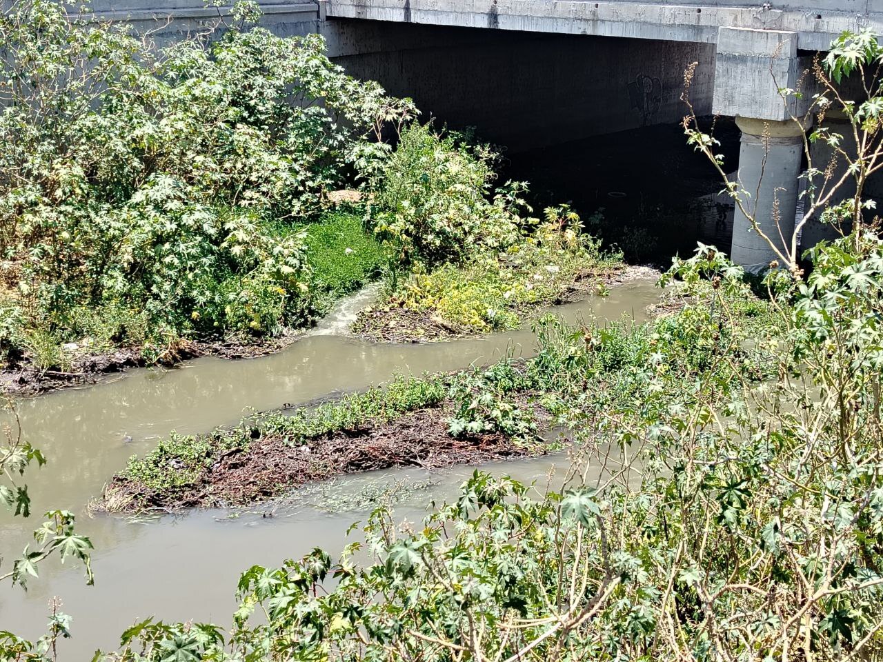 Ambientalistas buscan integrarse a limpieza del Río Lerma en Salamanca 