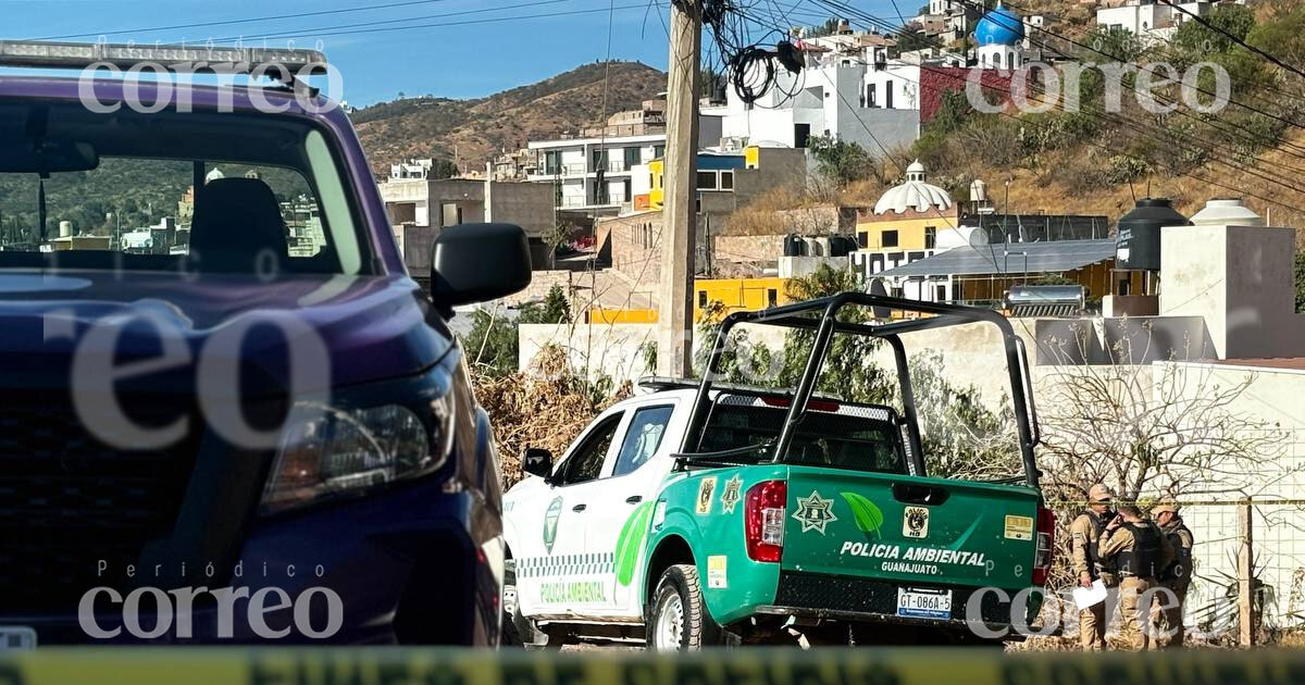 Asesinan a joven durante riña en Loma de Plateros de Guanajuato 