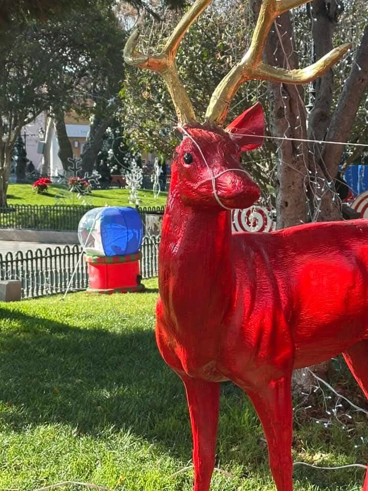 Vandalizan adornos navideños en jardín de San Felipe 