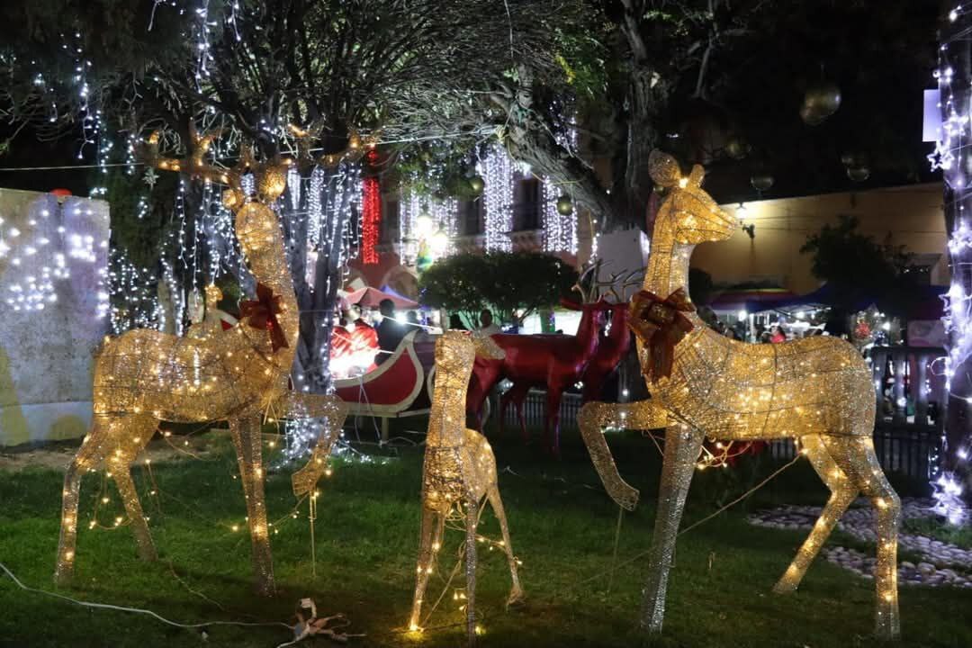 San Felipe tendrá su Primer Festival Navideño, ¿cuándo y cómo será? 